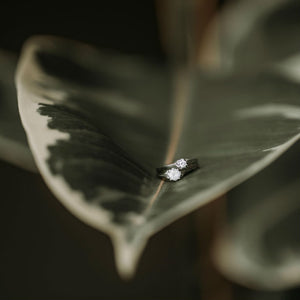 diamond engagement rings sitting on a leaf