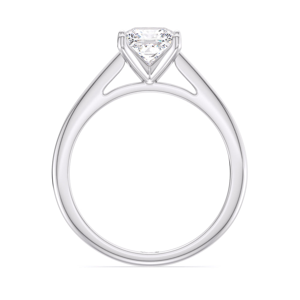 Fine Tapered Cathedral Solitaire Engagement Ring with Princess Cut Diamond in 14KT Platinum view 2