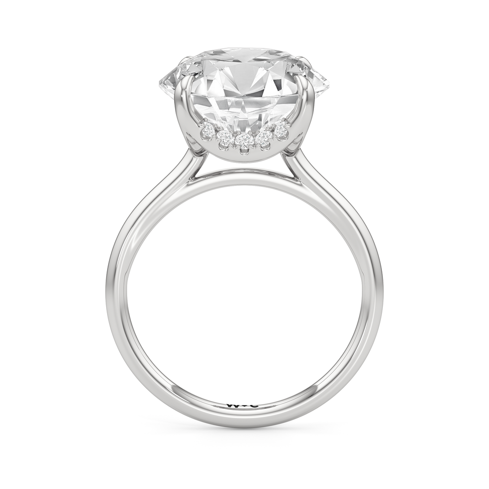The Cassatt Solitaire Engagement Ring with Round Cut Diamond in 14KT Platinum view 3