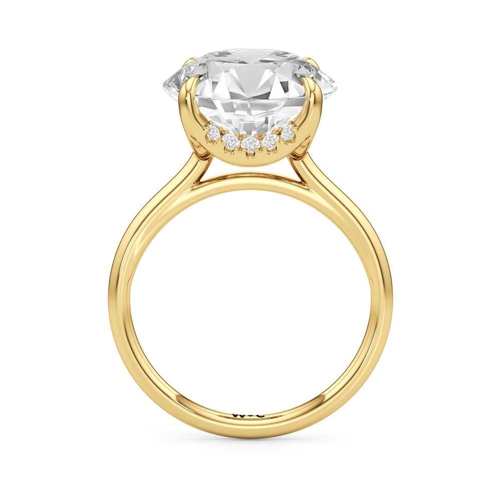 The Cassatt Solitaire Engagement Ring with Round Cut Diamond in 14KT Yellow Gold view 3