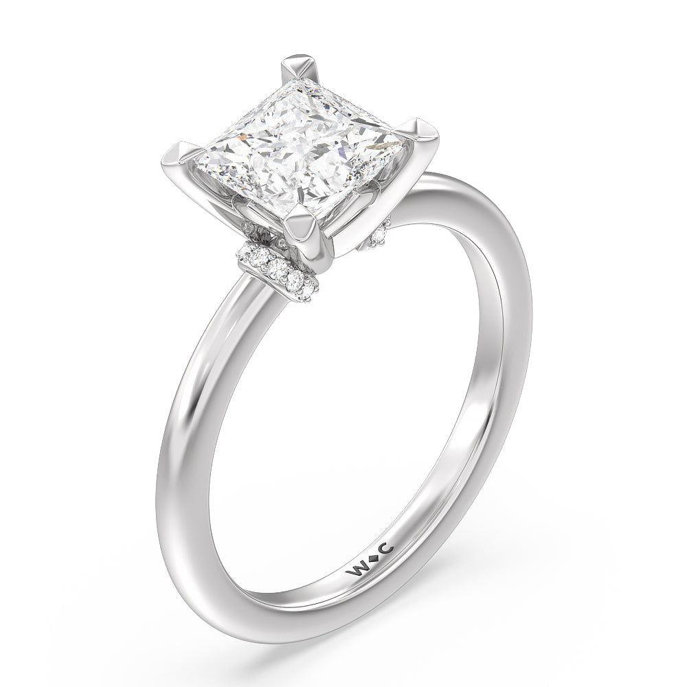 Diamond Collar Fine Line Engagement Ring with Princess Cut Diamond in 14KT Platinum view 3