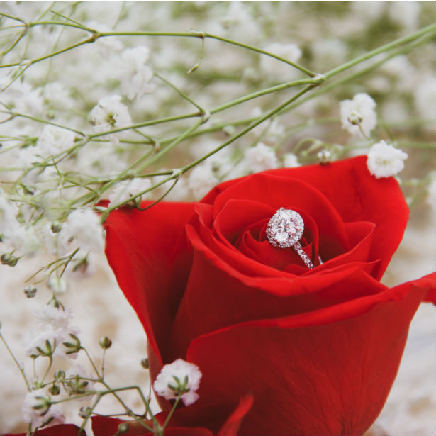 oval engagement ring in rose