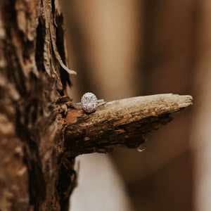 oval halo engagement ring sitting on a branch