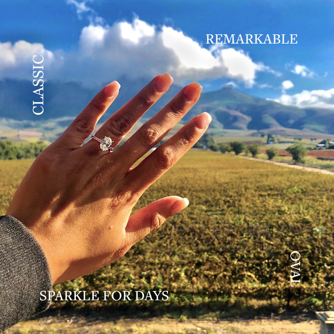 A Charming Capetown Proposal: Allan & Sally