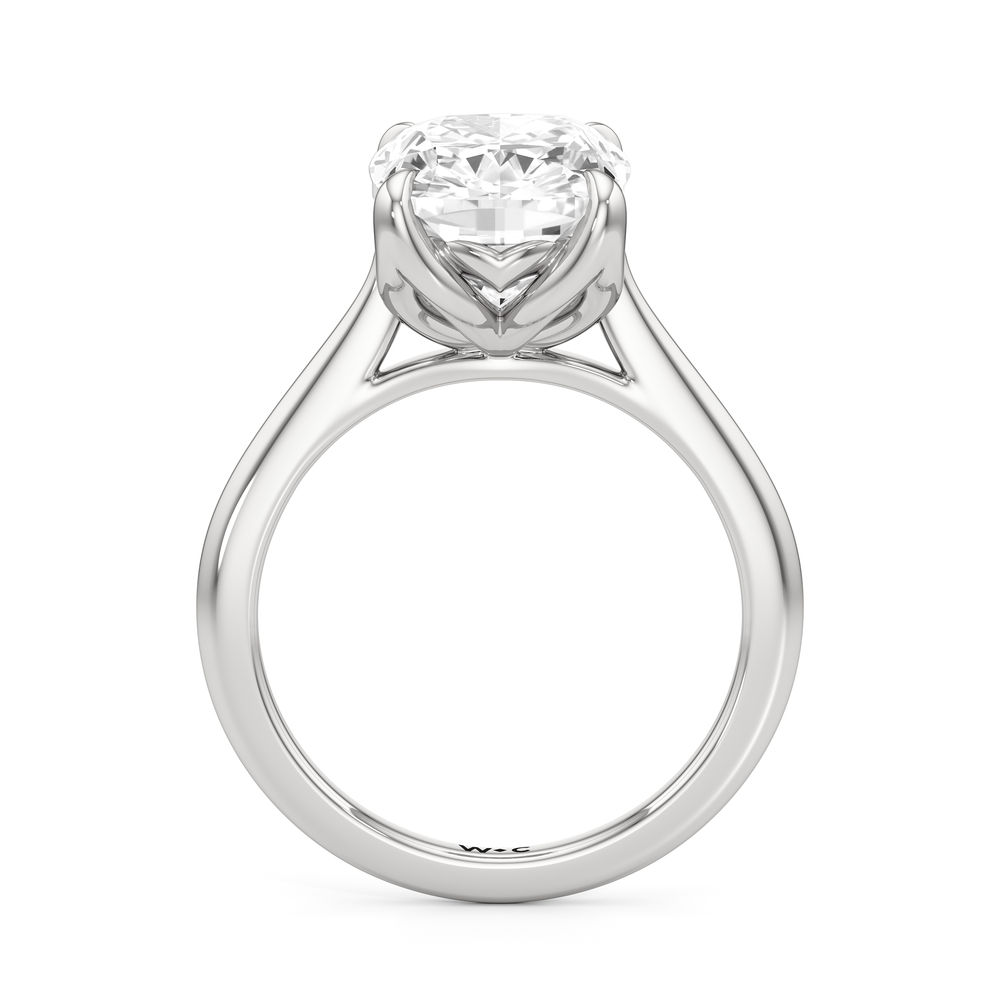 Elongated Cushion Cut Famed Tulip Cathedral Ring with Lab Grown Diamond in 14KT Platinum view 5
