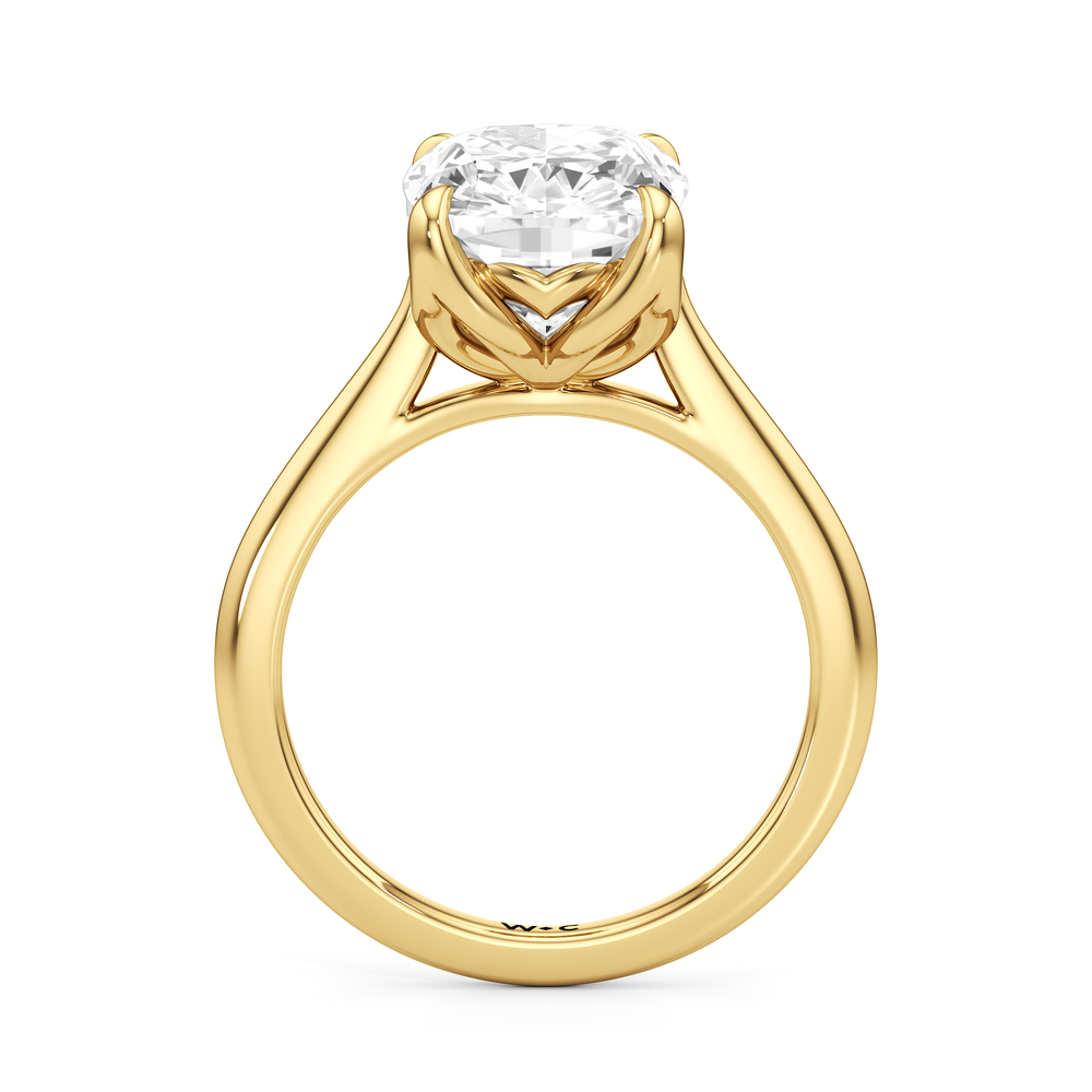 Elongated Cushion Cut Famed Tulip Cathedral Ring with Lab Grown Diamond in 14KT Yellow Gold view 5
