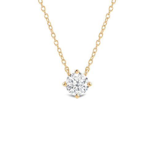 https://cdn.shopify.com/videos/c/o/v/466d62e346184eb4bbb4ef0fb4dd10d0.mp4