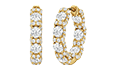 Fulton Filter Icon