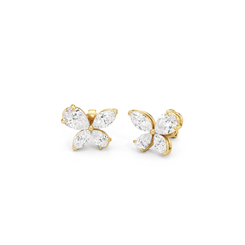 Marsilea Studs