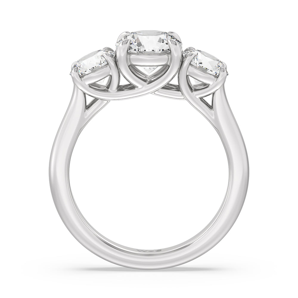 Three Stone Round Brilliant Cut Diamond Ring (E+ VS+) with Platinum / Lab / 3 Cut Diamond in 14KT Platinum / Lab / 3 view 4
