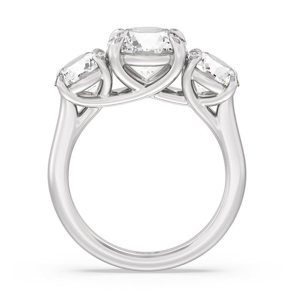 Three Stone Round Brilliant Cut Diamond Ring (F/G SI+) with Platinum / Natural / 5 Cut Diamond in 14KT Platinum / Natural / 5 view 4
