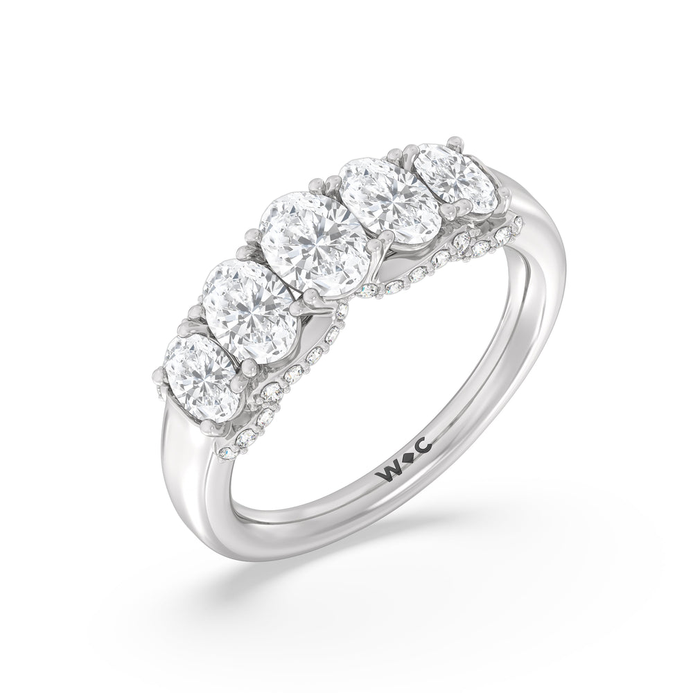 Five Stone The Regal Anniversary Ring with Platinum / Natural / 2 Cut Diamond in 14KT Platinum / Natural / 2 view 6
