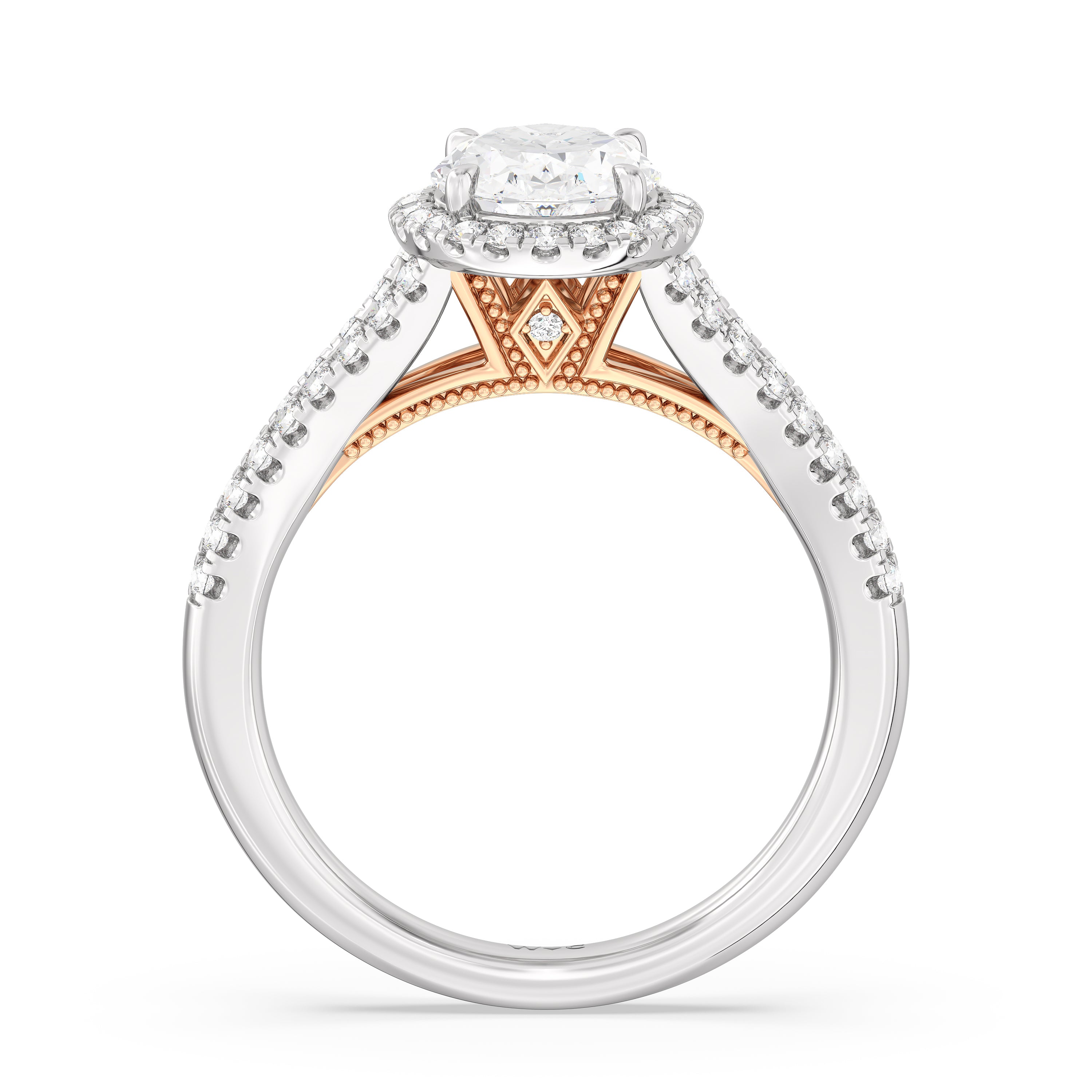 Hidden Accent Rings Split Shank Hidden Accent 2 1/2 CTTW Round Cut Lab Grown Diamond ...