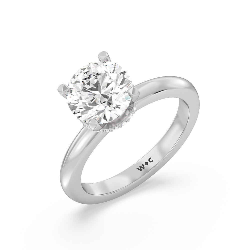 Round Cut Modern Fine Line Hidden Halo Engagement Ring (E+ VVS+) with Lab Grown Diamond in 14KT Platinum view 3
