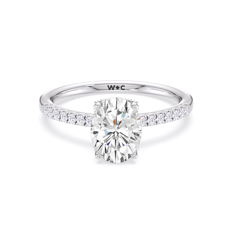 Arc Hidden Halo Engagement Ring View