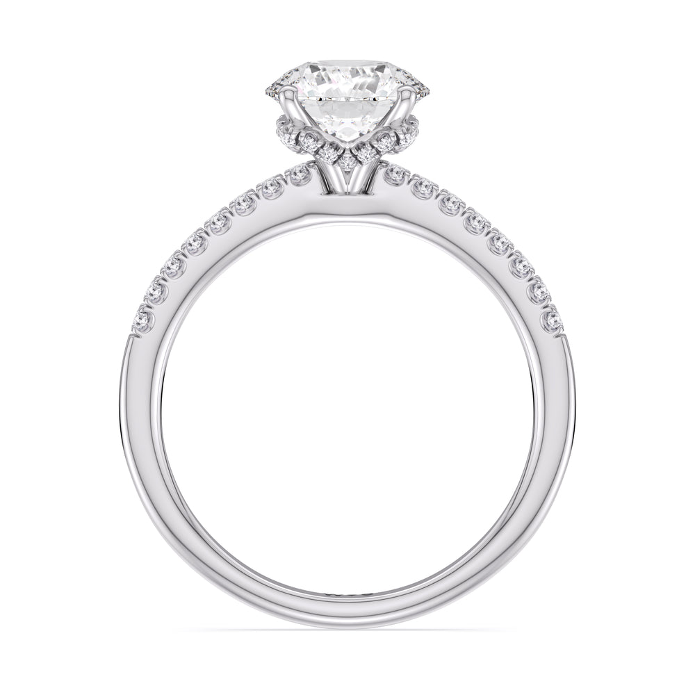 Arc Hidden Halo Engagement Ring with Round Cut Diamond in 14KT Platinum view 3
