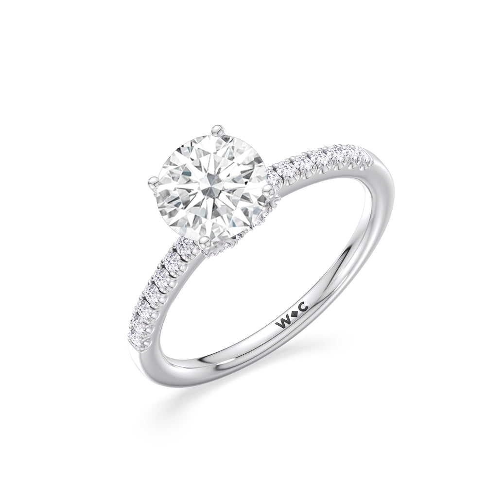 Arc Hidden Halo Engagement Ring with Round Cut Diamond in 14KT Platinum view 4
