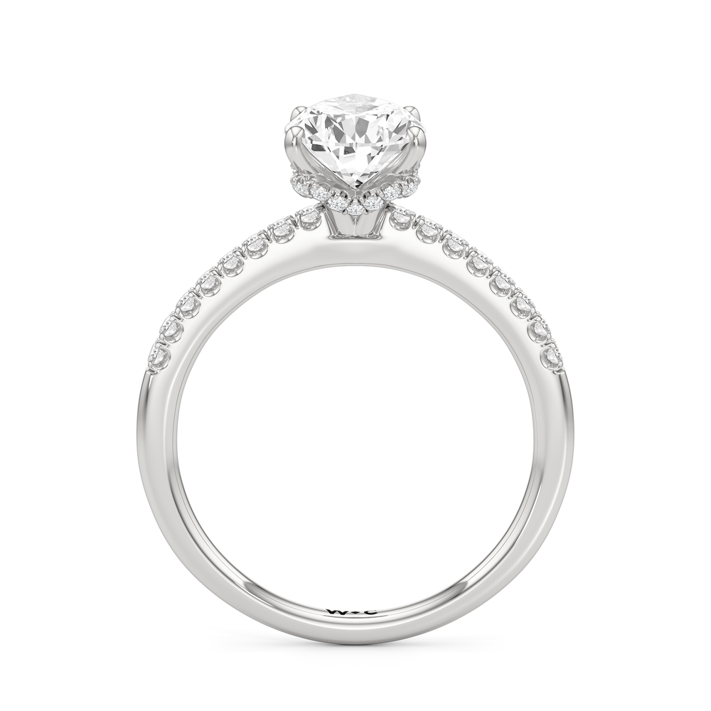 Arc Hidden Halo Engagement Ring with Pear Cut Diamond in 14KT Platinum view 3
