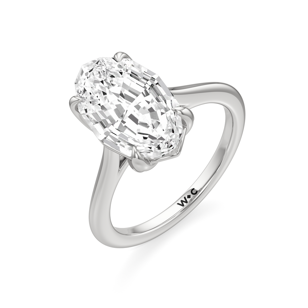 Oval Stepcut Cut Famed Tulip Cathedral Ring with Lab Grown Diamond in 14KT Platinum view 6
