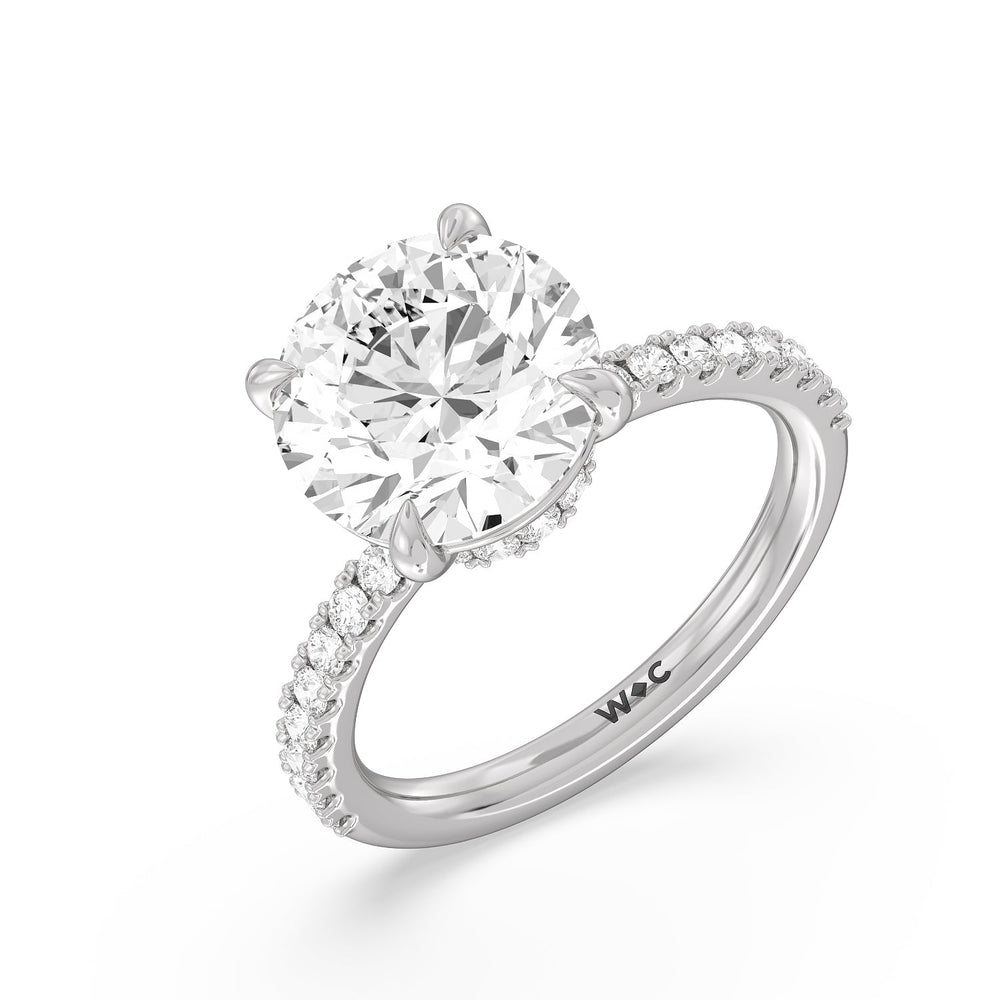 Exquisite Hidden Halo Ring with Round Cut Diamond in 14KT Platinum view 3

