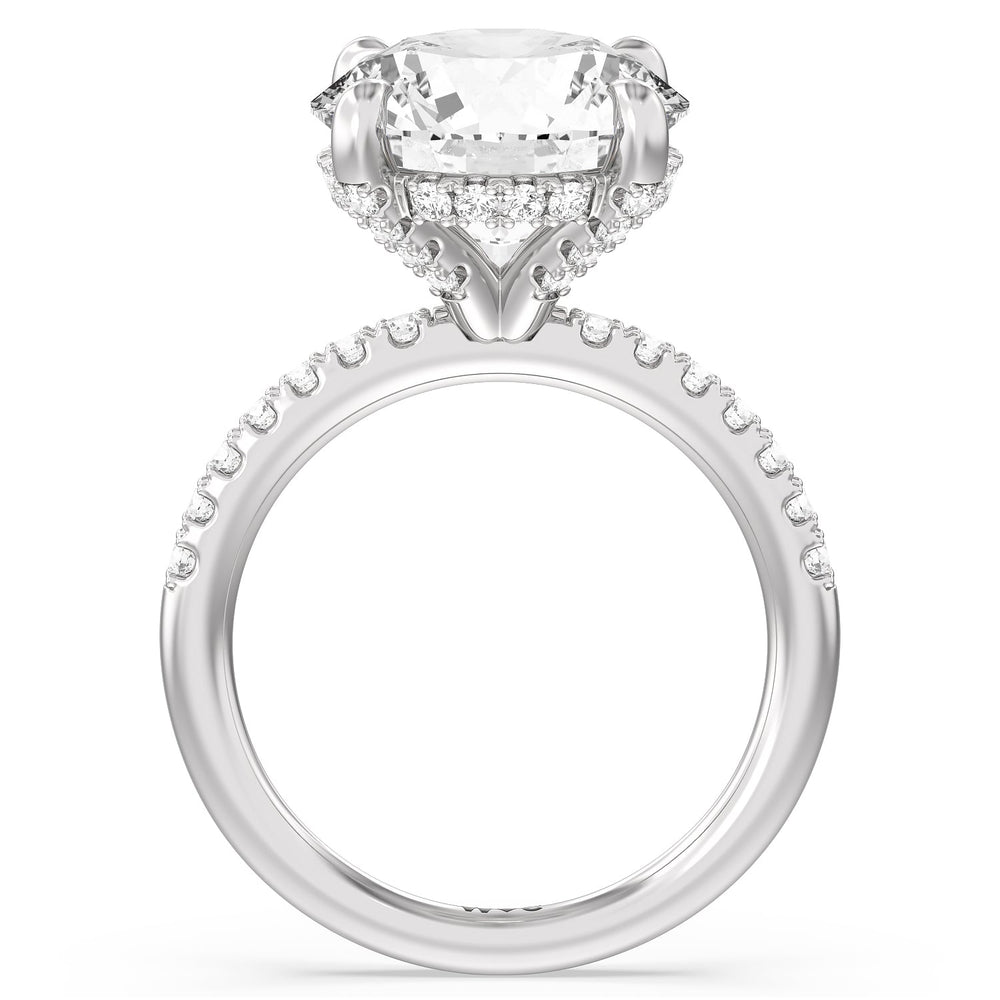 Round Cut Noble Studded Hidden Halo Ring with Lab Grown Diamond in 14KT Platinum view 2
