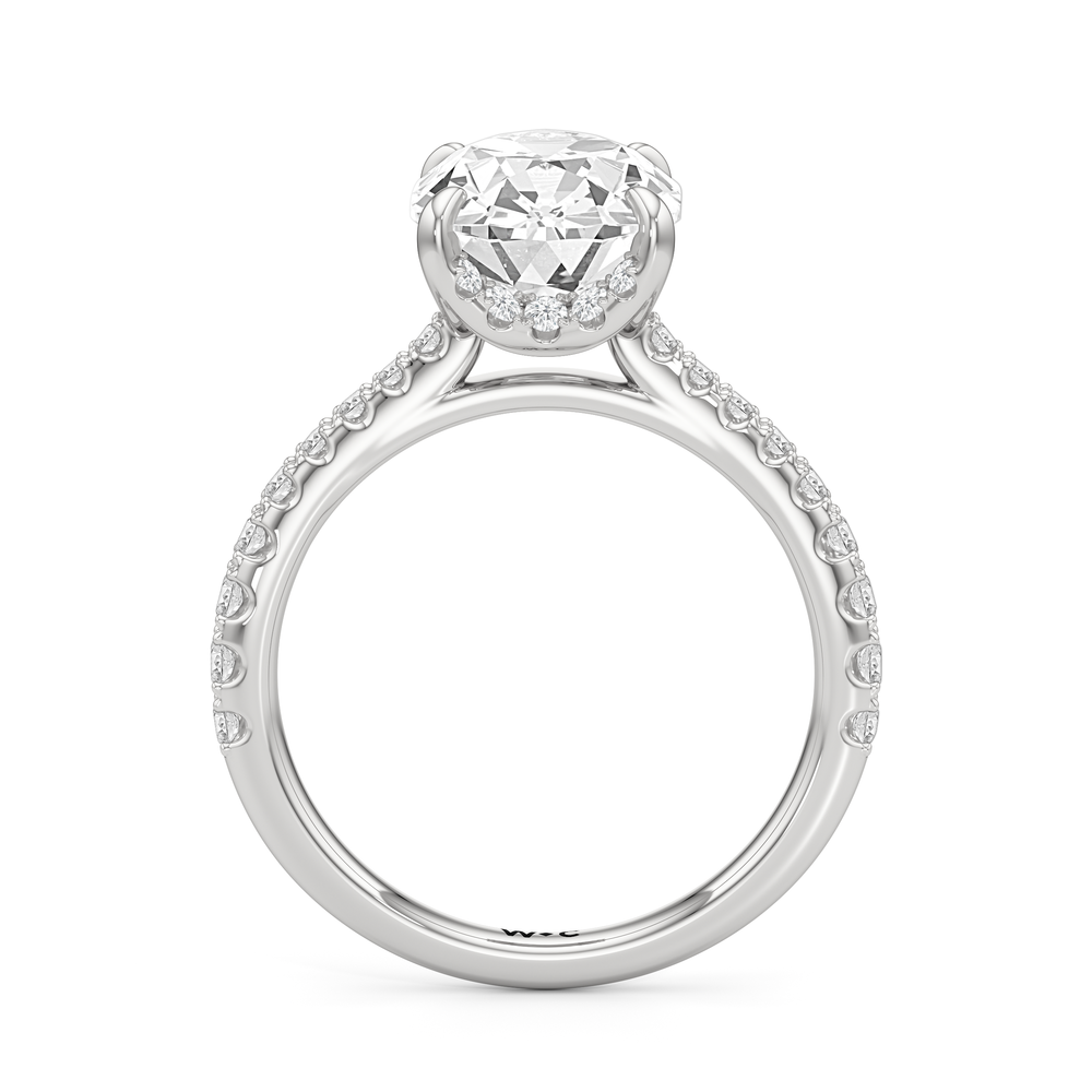 Antique Cushion Cut The Cassatt Ring with Lab Grown Diamond in 14KT Platinum view 5
