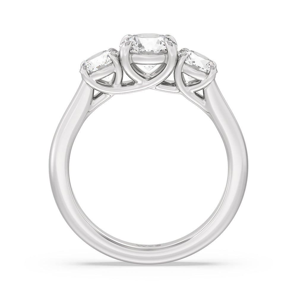 Three Stone Round Brilliant Cut Diamond Ring (F/G SI+) with Platinum / Natural / 2 Cut Diamond in 14KT Platinum / Natural / 2 view 4

