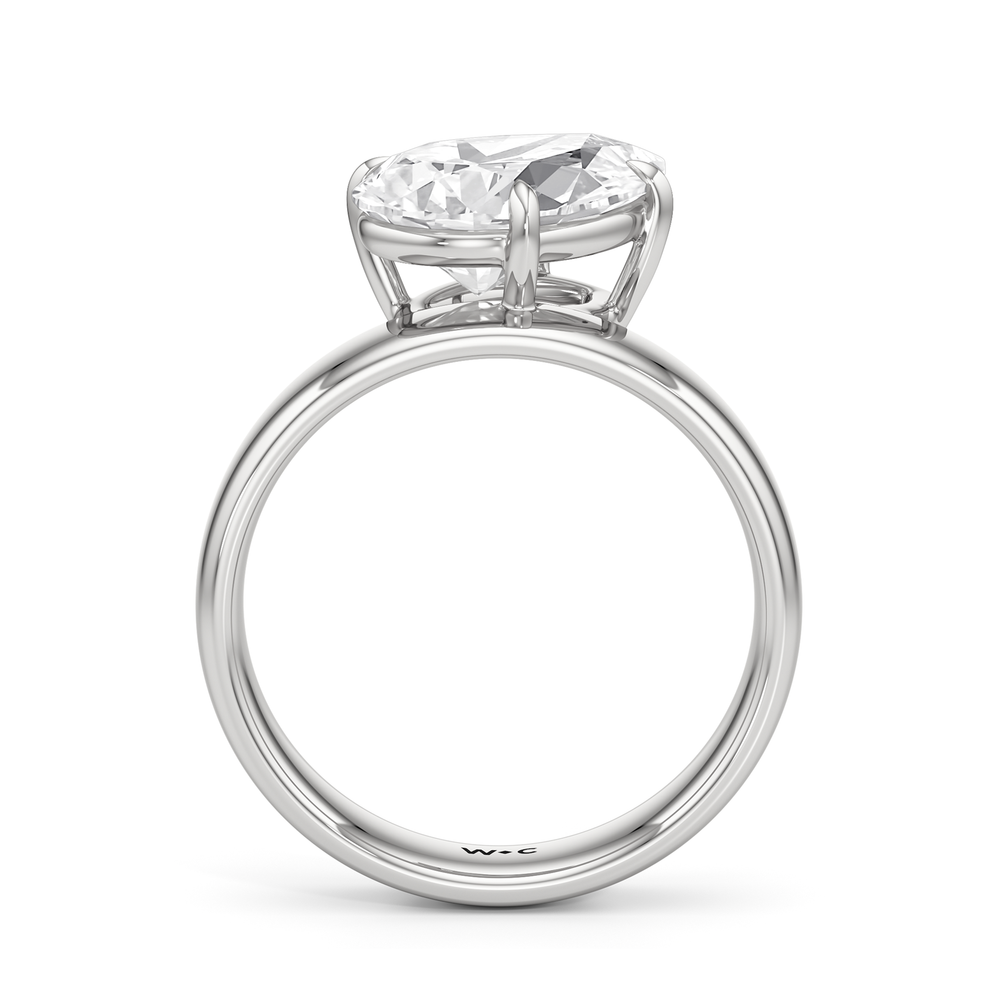 Luna Wide Band Engagement Ring with Pear Cut Diamond in 14KT Platinum view 2
