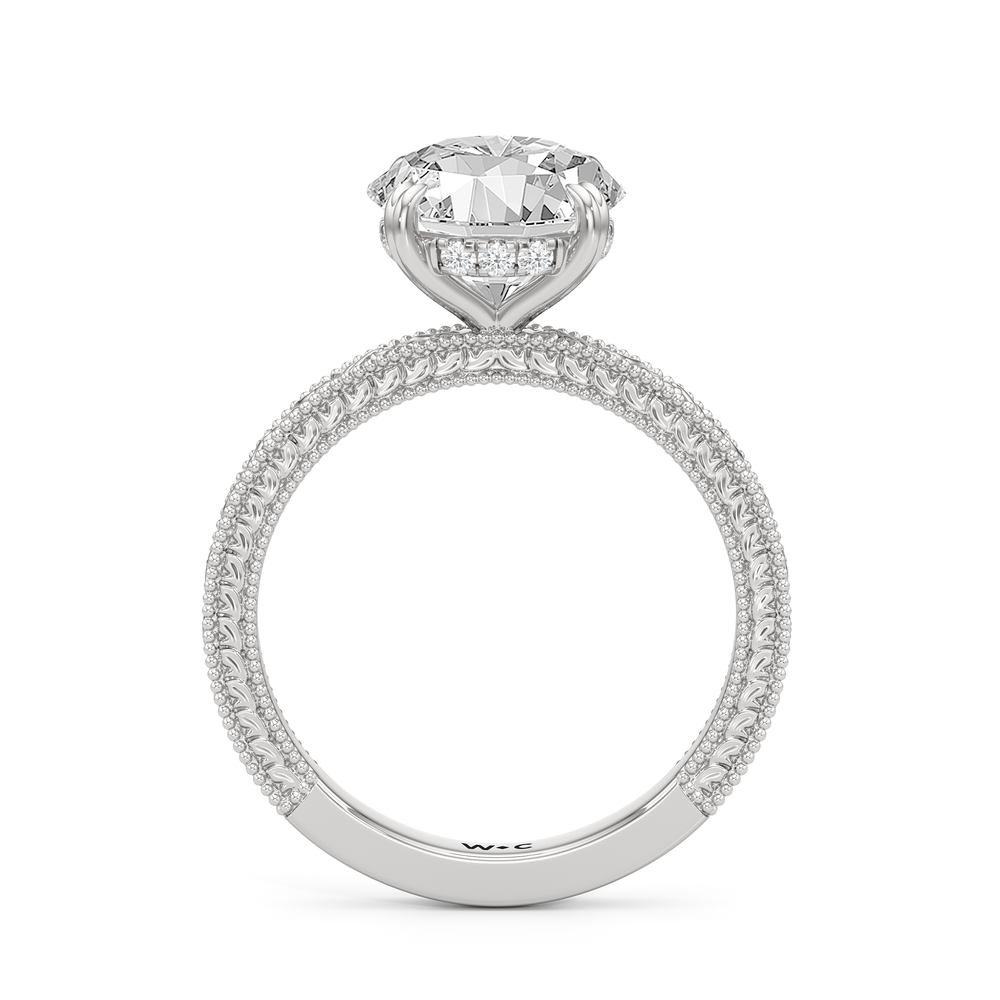 The Seraphina Ring with Round Cut Diamond in 14KT Platinum view 2
