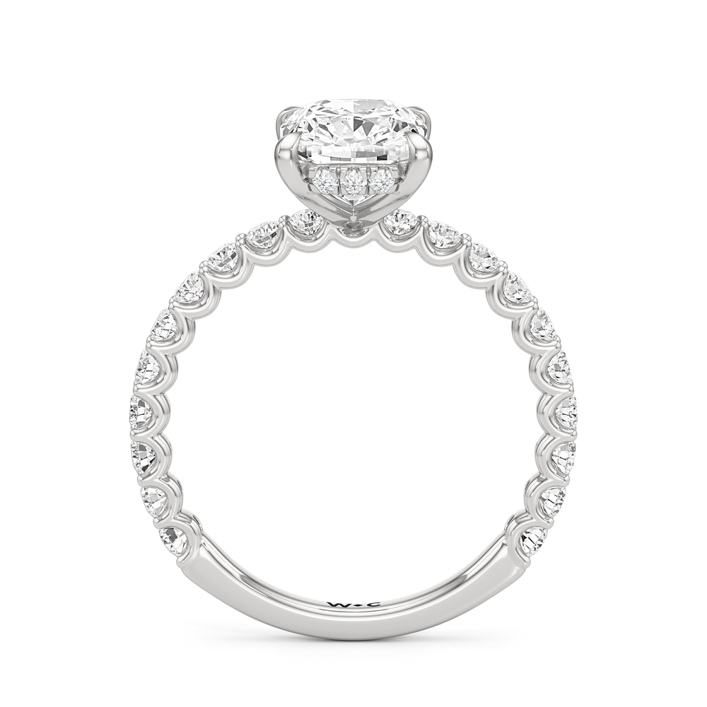 Elongated Cushion Cut The Arc Classic Engagement Ring with Lab Grown Diamond in 14KT Platinum view 5
