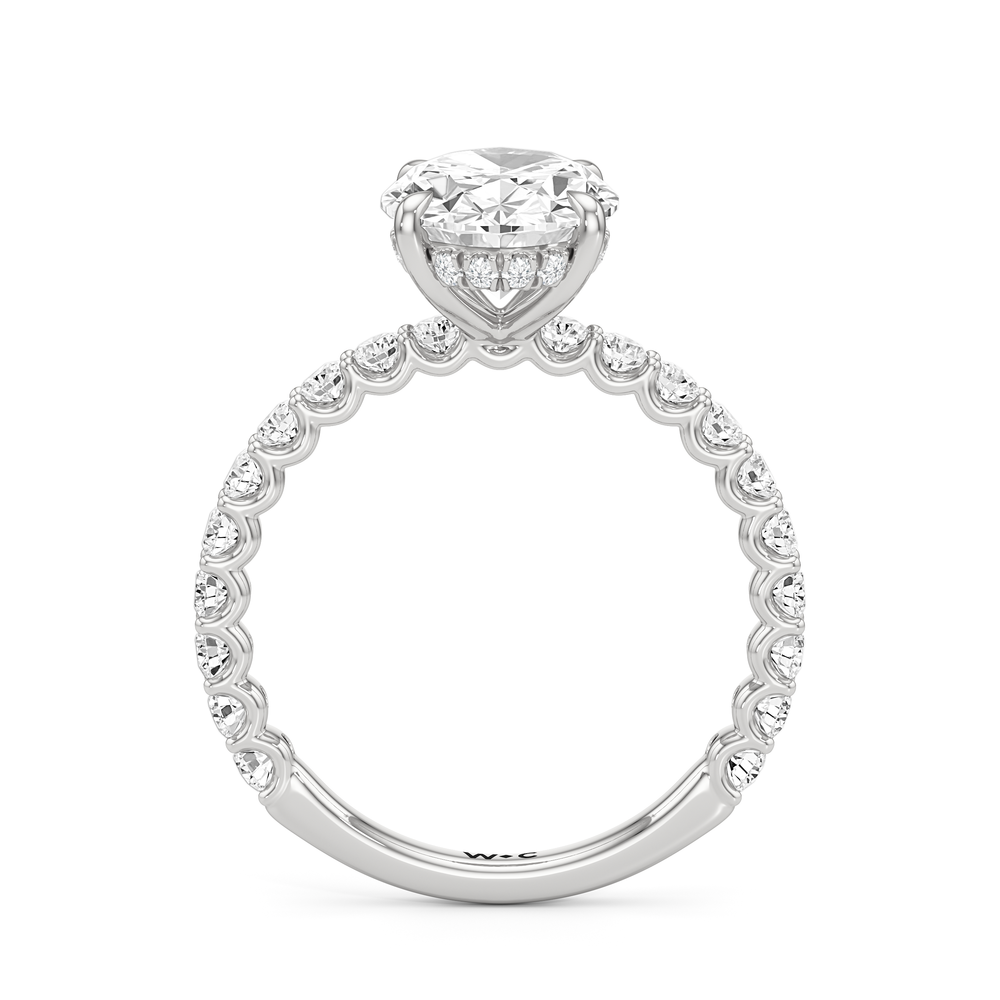 Oval Cut The Arc Classic Engagement Ring with Lab Grown Diamond in 14KT Platinum view 5
