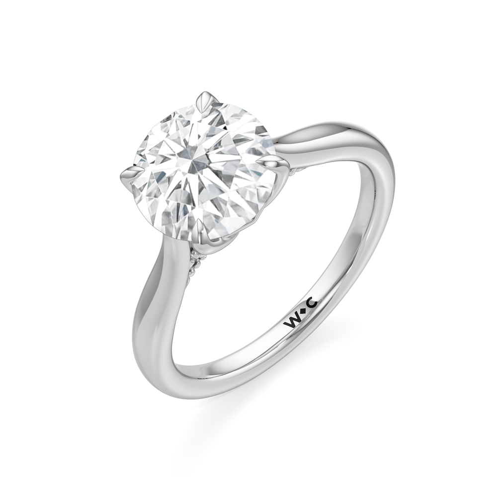 Round Cut The Tulip Whisper Ring with Lab Grown Diamond in 14KT Platinum view 5
