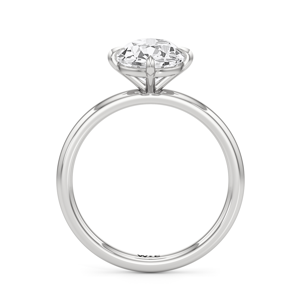 Antique Cushion Cut Aster Engagement Ring with Lab Grown Diamond in 14KT Platinum view 5
