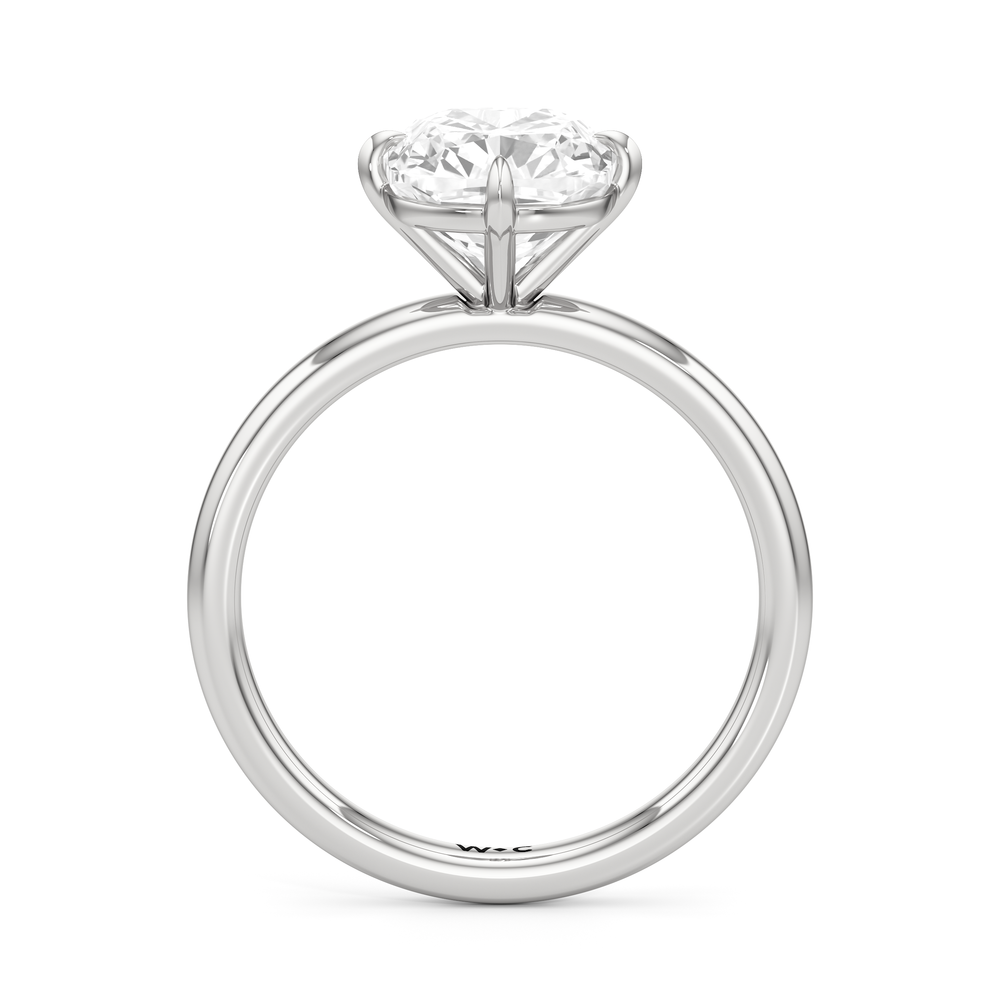 Aster Engagement Ring with Elongated Cushion Cut Diamond in 14KT White Gold view 4
