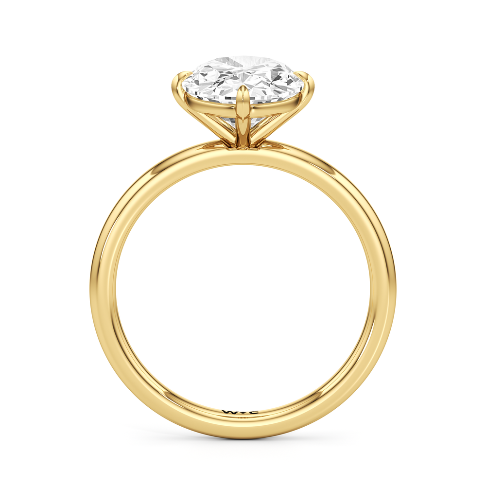 Aster Engagement Ring with Oval Cut Diamond in 14KT Yellow Gold view 4
