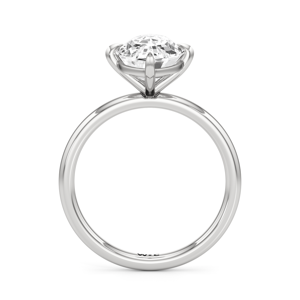 Oval Stepcut Cut Aster Engagement Ring with Lab Grown Diamond in 14KT Platinum view 5
