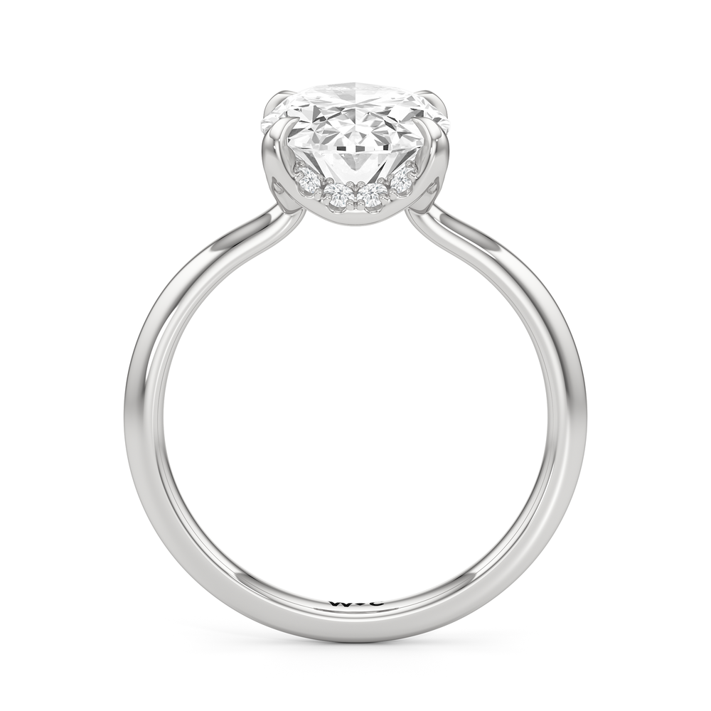 Oval Cut The Cassatt Low-Profile Ring with Lab Grown Diamond in 14KT Platinum view 5
