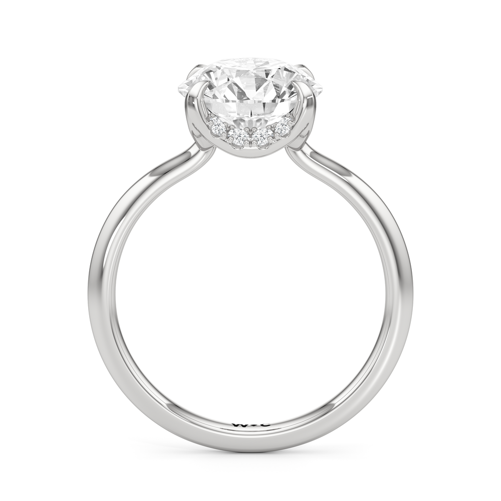 Round Cut The Cassatt Low-Profile Ring with Lab Grown Diamond in 14KT Platinum view 5
