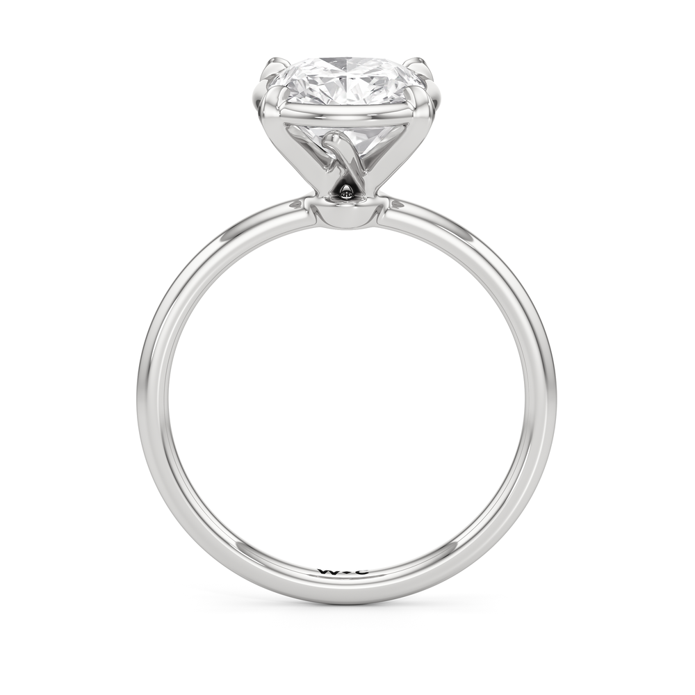 Elongated Cushion Cut The W Bezel Engagement Ring with Lab Grown Diamond in 14KT Platinum view 5
