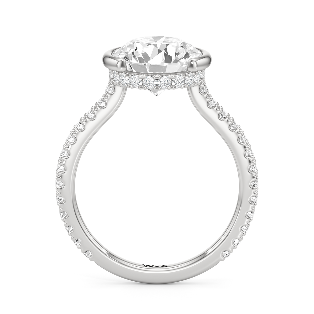 Round Cut Half Bezel Low-Profile Engagement Ring with Lab Grown Diamond in 14KT Platinum view 5
