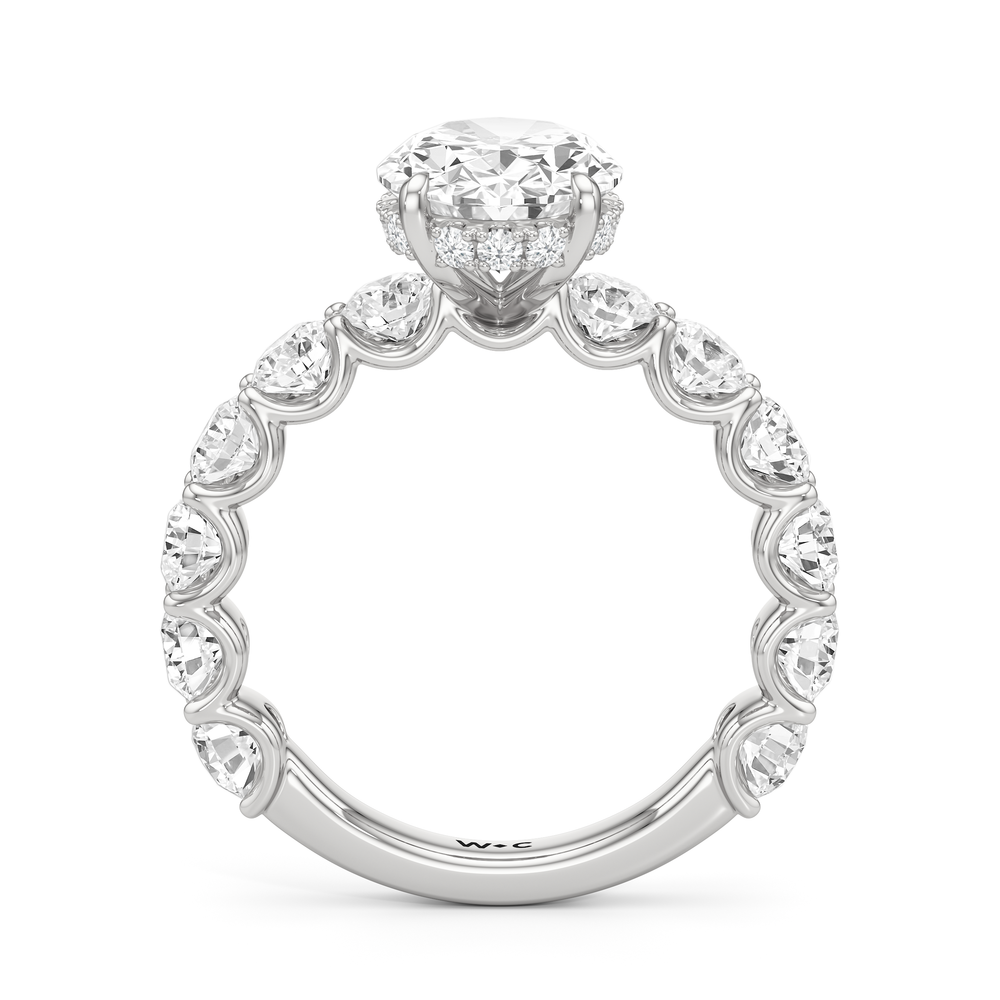 Oval Cut The Arc Grand Ring with Lab Grown Diamond in 14KT Platinum view 4
