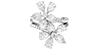 Fashion Rings Filter Icon