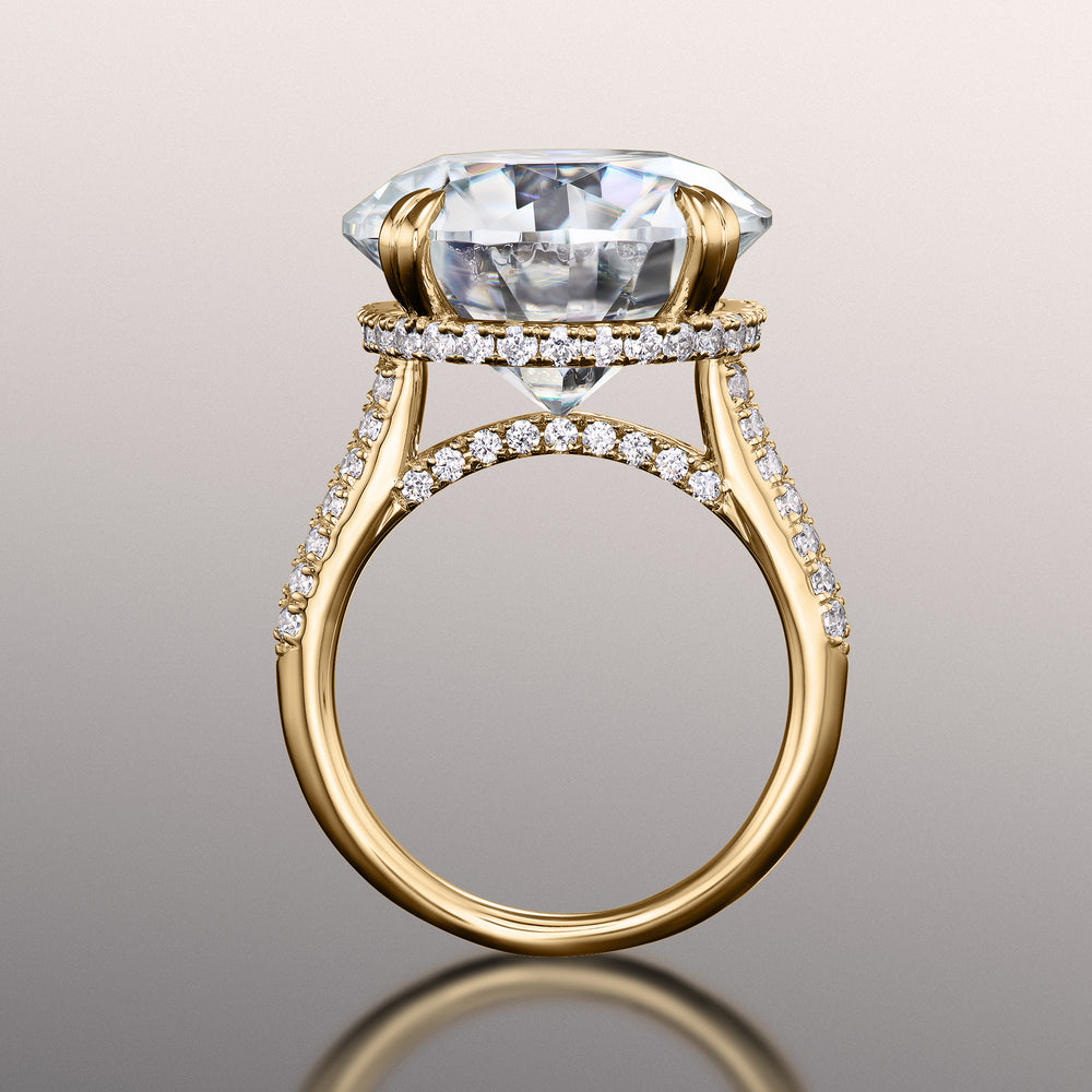 Round Cut The Rembrandt Ring with Lab Grown Diamond in 14KT Yellow Gold view 4
