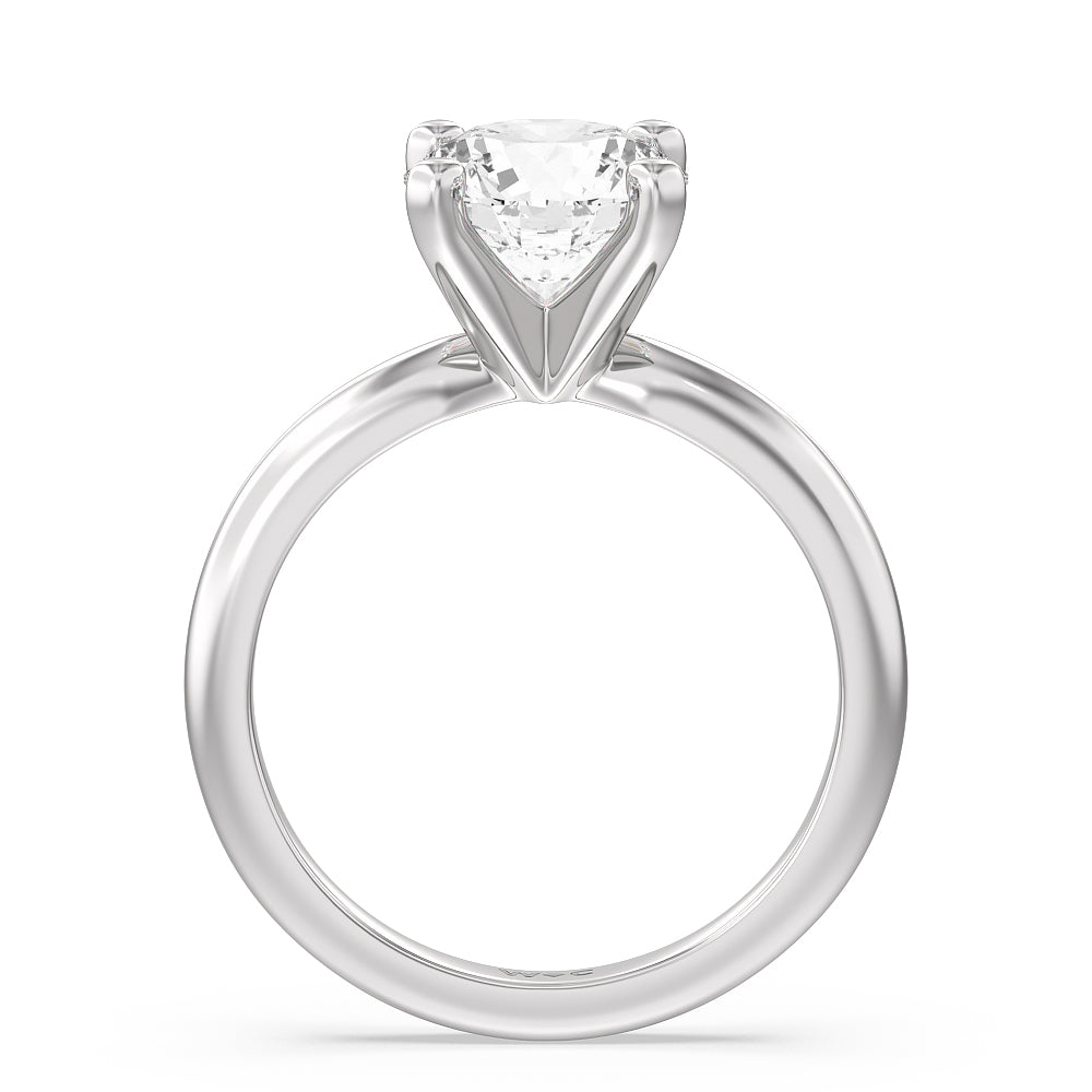 950 Platinum Four Diamond Fixed Gem Seam Ring - Nipple Configuration –  KiwiDiamond