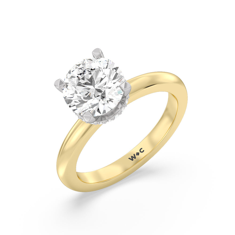 2 1/2 cttw Round Cut Modern Fine Line Hidden Halo Engagement Ring with 2 1/2 Cut Diamond in 14KT Round view 3
