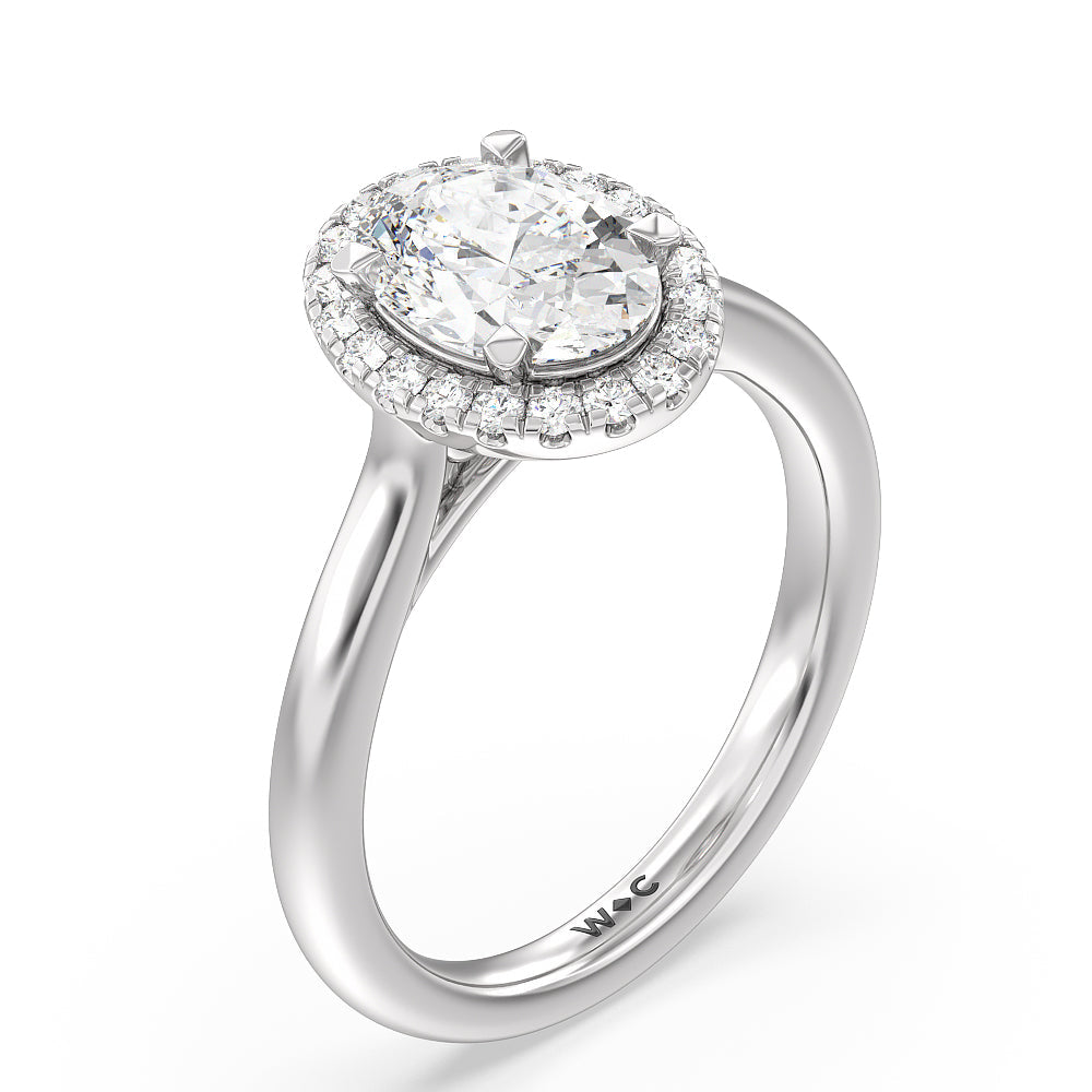 Cathedral Halo Engagement Ring with Oval Cut Diamond in 14KT Platinum view 3
