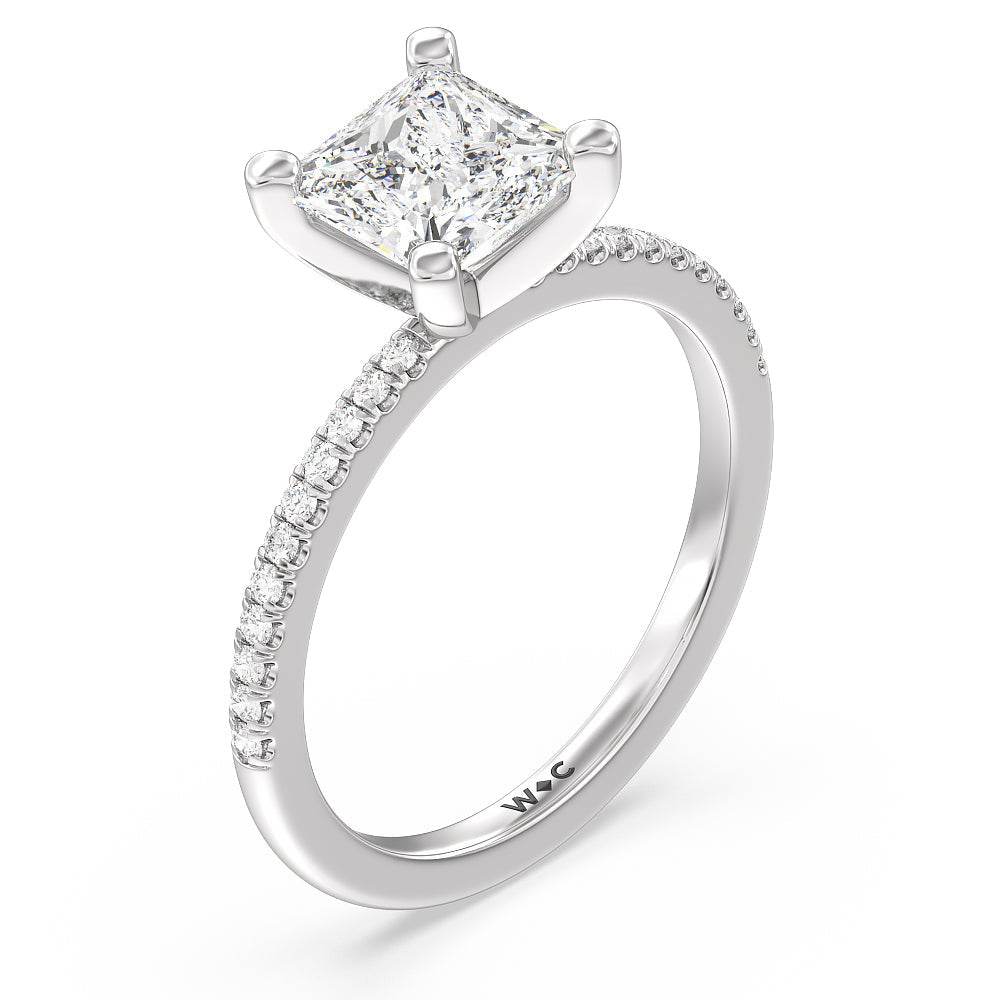 Princess Cut Vela Traditional Pave Diamond Engagement Ring with Lab Grown Diamond in 14KT Platinum view 3
