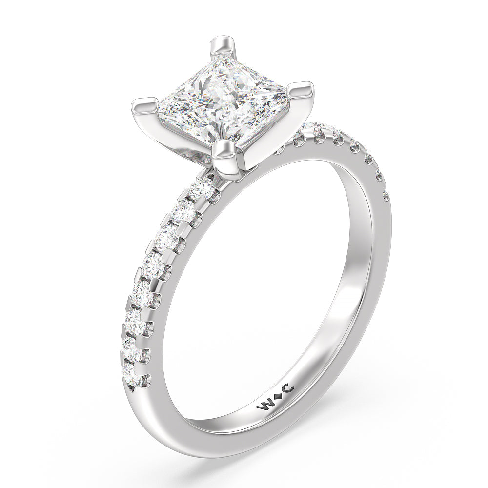 Vela Medi Traditional Pave Diamond Engagement Ring with Princess Cut Diamond in 14KT Platinum view 3
