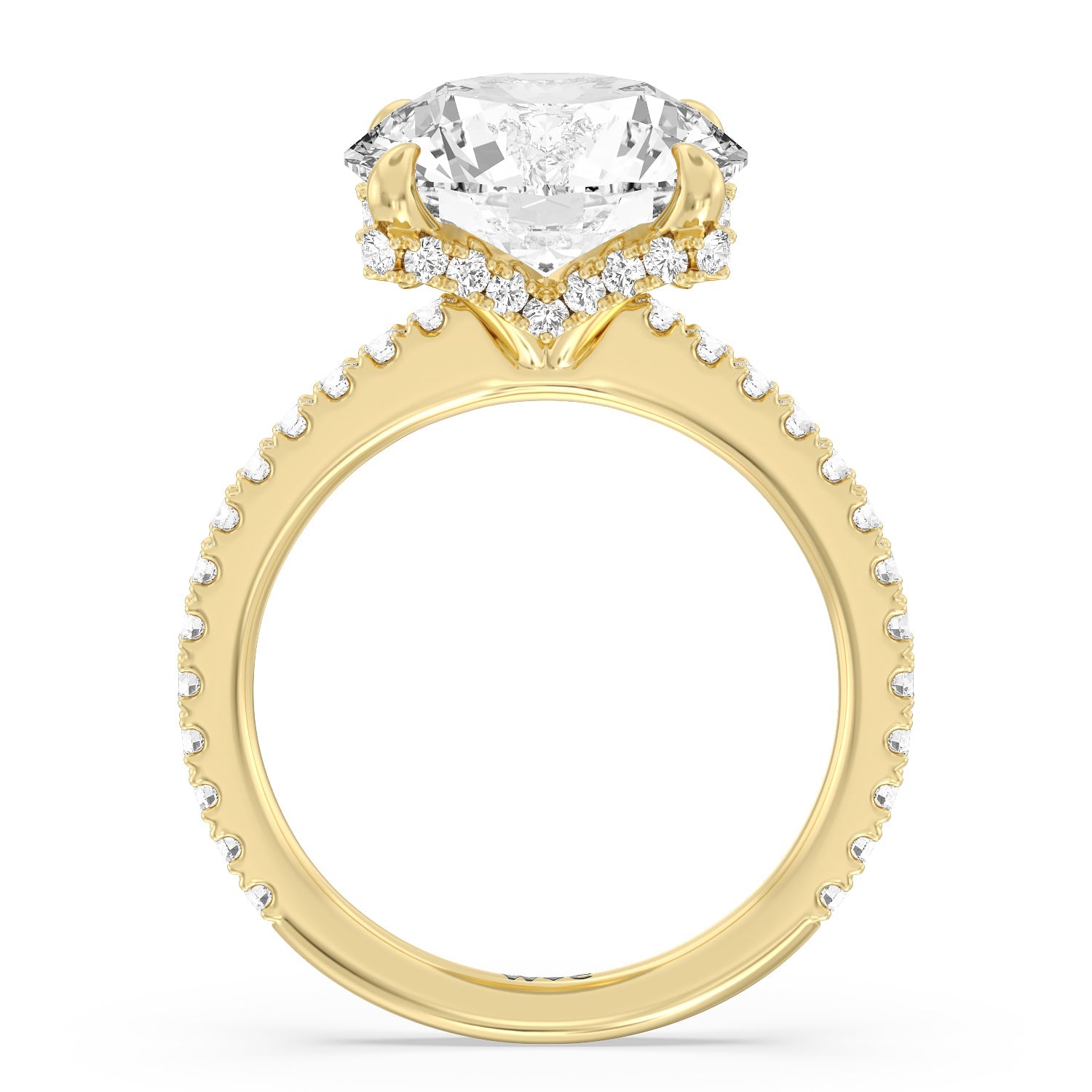 Luxuriant Hidden Halo Ring – With Clarity