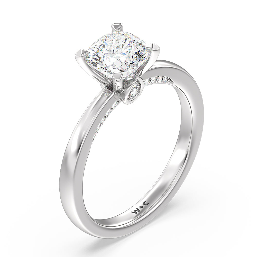 Cushion Cut Adorned Hidden Accent Diamond Engagement Ring with Lab Grown Diamond in 14KT Platinum view 3

